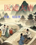 大唐医圣小说