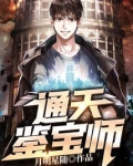 通天鉴宝师