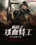抗战之铁血特工电视剧在线观看全集