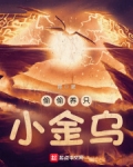 偷偷养只小金乌txt精校