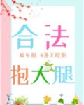 合法抱大腿[娱乐圈]讲什么