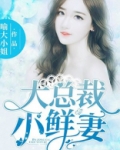 大总裁,小鲜妻! 小说