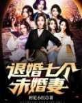 退婚七个未婚妻的都市小说