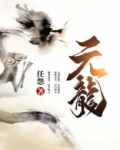 元龙小说