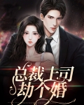 总裁上司劫个婚的小说503章