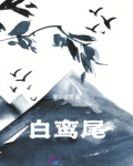 白鸾尾花的寓意和象征