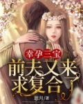 幸孕三宝妈咪太撩人