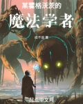某霍格沃茨的魔法学者