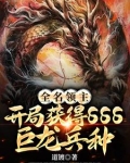 全名领主开局获得sss巨龙兵种 道镀