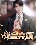 战王弃妃龙战雅