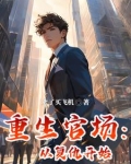 重生官场从复仇开始小说