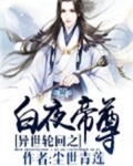 异世轮回之白夜帝尊