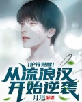 护符觉醒:从流浪汉开始逆袭 月Z TXT