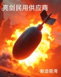亮剑的制作公司