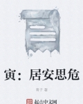 居安思危小说