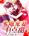 爹地宠妻甜蜜小说