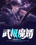 武极魔婿