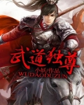 武道独尊等级划分