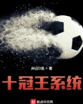 十冠王系统