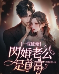 一夜征婚老公是首富 笔趣阁