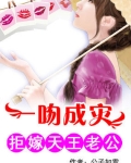 一吻成灾拒嫁天王老公笔趣阁