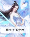 橙光袖手天下