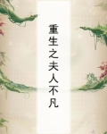 重生之夫人不凡免费阅读