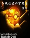 系统给错的穿越者