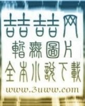 紫星传
