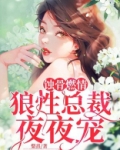 蚀骨燃情：狼性总裁夜夜宠
