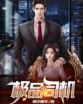 极品小司机