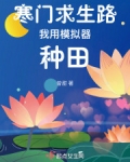 寒门求生路我用模拟器种田txt