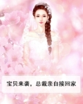 宝贝来袭抱得总裁归
