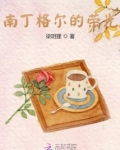 南丁格尔之光