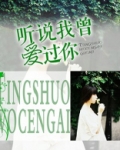 听说我曾爱过你全文免费阅读