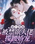 豪门替嫁夫小说全文免费阅读