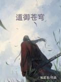道御苍穹